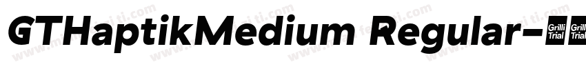 GTHaptikMedium Regular字体转换